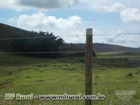 4 fazendas em Cantagalo (RJ) - 2655 hectares