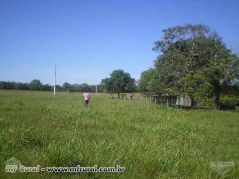 FAZENDA COLORADO DO OESTE-RO