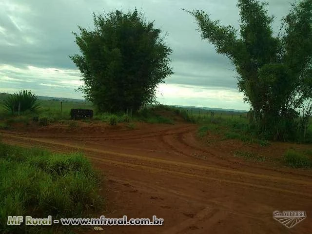 Venda de Fazenda em Dores do Indaiá/MG