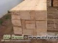 Madeira serrada de pinus (embalagens e construção civil)