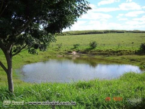 Vendo sítio em Itiratupa-SP com pasto topografia boa rico em água represa
