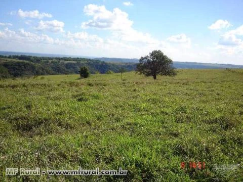 Vendo sitio em Vera Cruz-SP para quem quer comprar otima topografia com agua