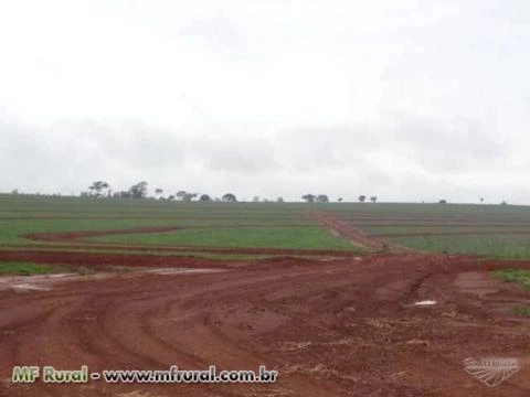 Vendo fazenda em Martinópolis/SP completa para agricultura e pastagem