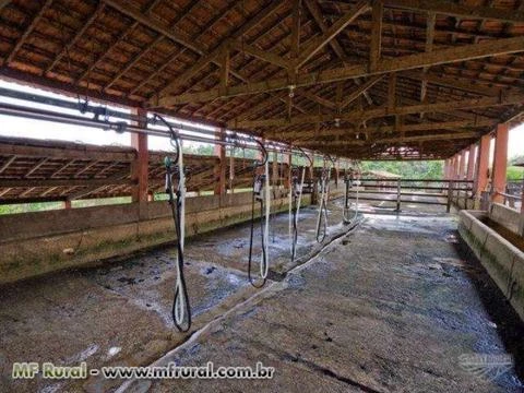 Vendo fazenda na região de Iperó/SP formada na pecuária com ótimas instalações