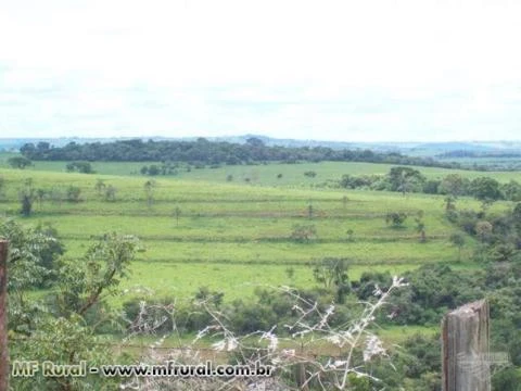 Vendo fazenda na região de Avaré/SP para pecuária, cana, laranja ou eucalipto