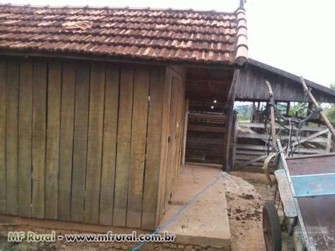 Vendo siitio na regiao de Lupercio/SP formado em pasto