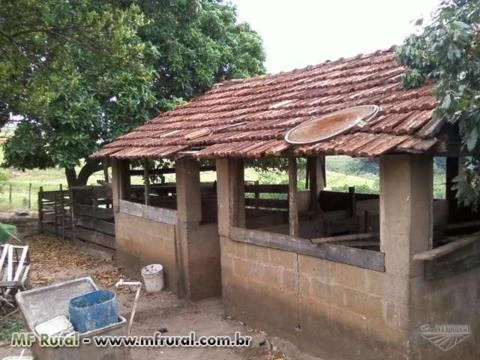 Vendo siitio na regiao de Lupercio/SP formado em pasto