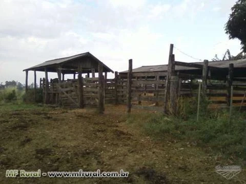 Vendo siitio na regiao de Lupercio/SP formado em pasto