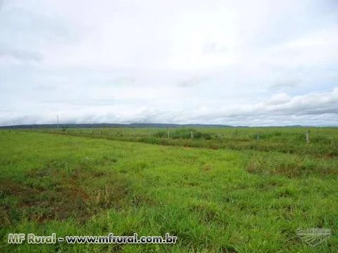 Vendo fazenda na região de Nova Brasilandia/MT