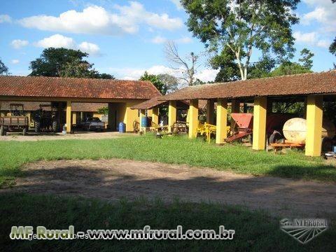 FAZENDA A VENDA 960 ALQUEIRES BARRA BONITA SP