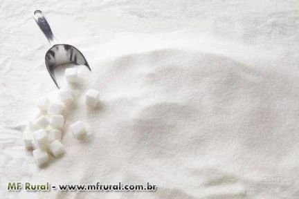 Soja | Farelo | Milho | Feijão | Fubá | Açúcar - "Exportação em containers"