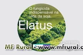 ELATUS