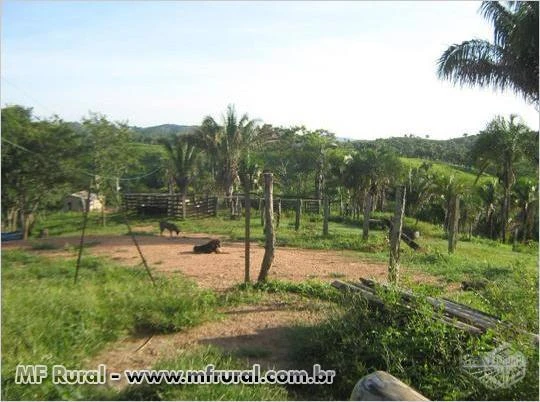 FAZENDA É PARA VENDER LOGO!