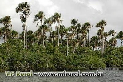 Fazenda Estado do Maranhão 2.522 ha