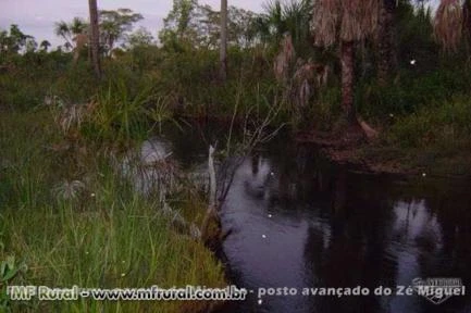 Fazenda Estado do Maranhão 2.522 ha