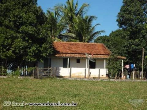 Fazenda de 79ha próximo a Teixeira de Freitas, Bahia