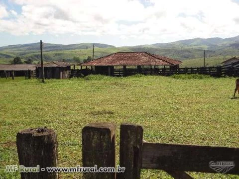 Fazenda de 79ha próximo a Teixeira de Freitas, Bahia