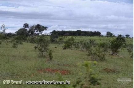 Fazenda no Município de Torixoréu - MT - 1.456 hectares
