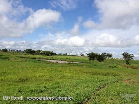 FAZENDA MUITO BOA COM 1.597 HECTARES