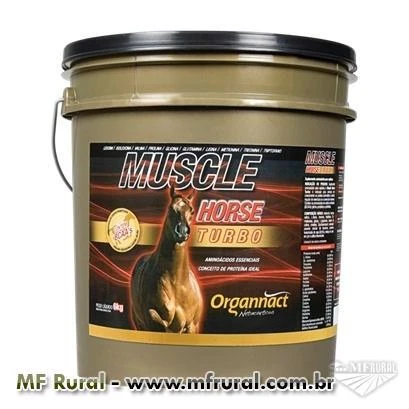 MUSCLE HORSE TURBO 6 KG