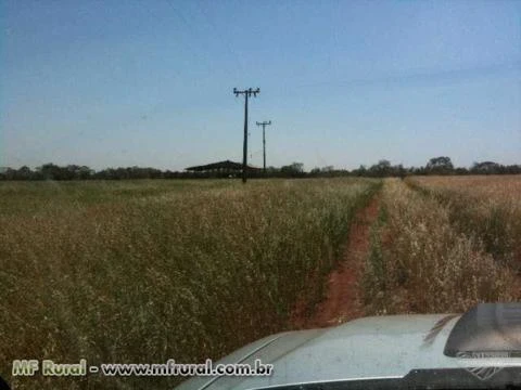 Linda fazenda na beira da rodovia asfaltada