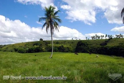 Fazenda Água Boa