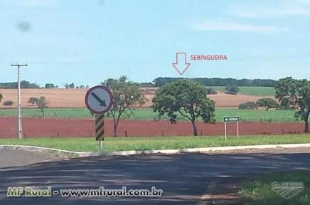 SÍTIO COM SERINGUEIRA PRODUZINDO EM CAMPO FLORIDO-MG, VENDE-SE OU PERMUTA.