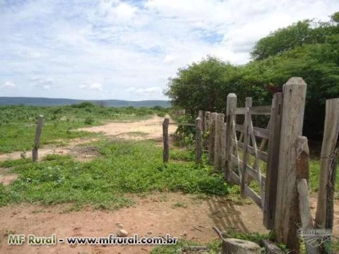 Compensação Ambiental em Bioma Cerrado Oeste da Bahia