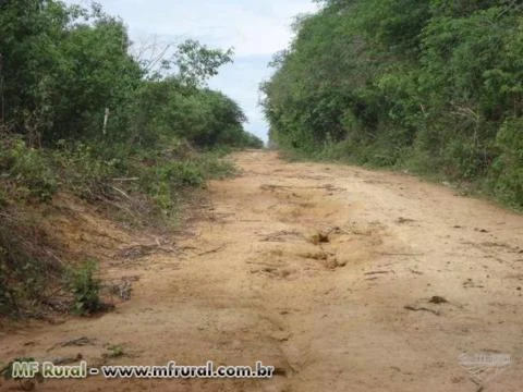 Compensação Ambiental em Bioma Cerrado Oeste da Bahia