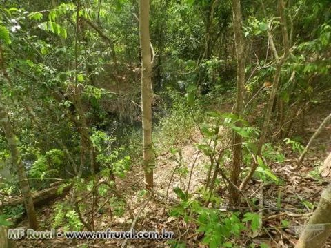 FAZENDA EM PADRE BERNARDO GO BOA PRA CRIA, PLANTAR E PRODUZIR