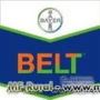 Belt Bayer