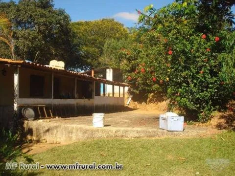 Vendo Fazenda 16ha em Cachoeira do Prata, MG