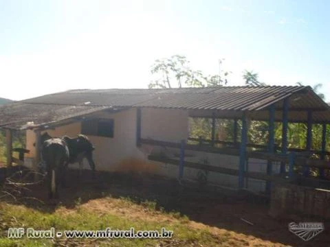 Vendo Fazenda 16ha em Cachoeira do Prata, MG