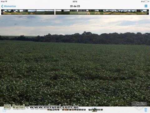 FAZENDA SOJA 1.265 HECTARES GOIÁS