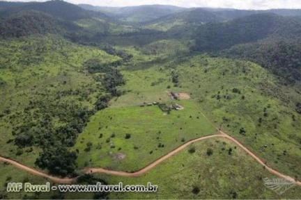 Fazenda otima para pecuaria no Pará 766 alqueires
