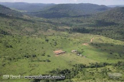 Fazenda otima para pecuaria no Pará 766 alqueires