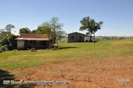 FAZENDA EM PALMITAL PR