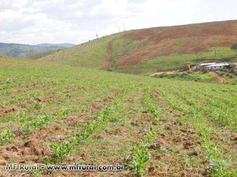 FAZENDA EM CARMO DE MINAS