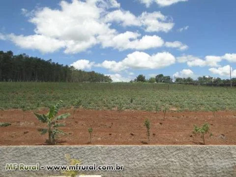 OPORTUNIDADE PISCICULTURA MONTADA