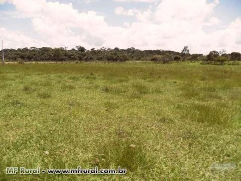 Sitio de 30 hectares a venda em Campo Verde MT
