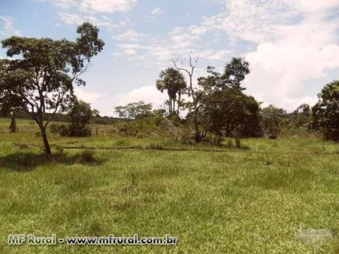 Sitio de 30 hectares a venda em Campo Verde MT