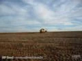 Vende-se fazenda de 100 hectares plantando soja em Itanhanga MT