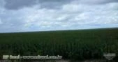 Fazenda soja 2.000 hectares metade preço