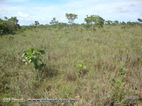 Fazenda, 2000 hectares no Amapá