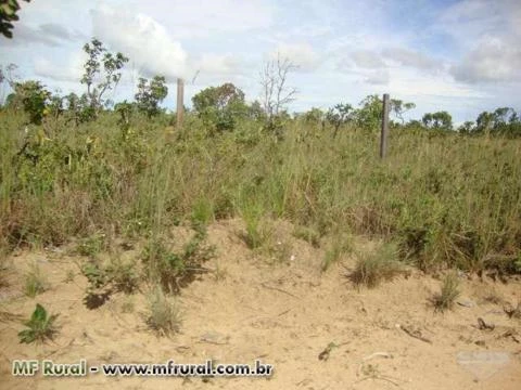 Fazenda, 2000 hectares no Amapá