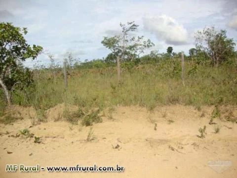 Fazenda, 2000 hectares no Amapá