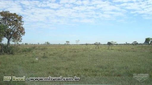 Fazenda em area de expansão urbana