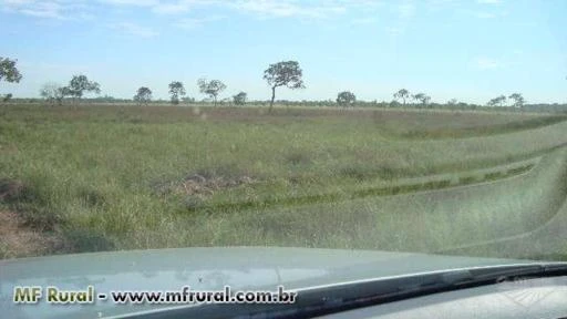 Fazenda em area de expansão urbana