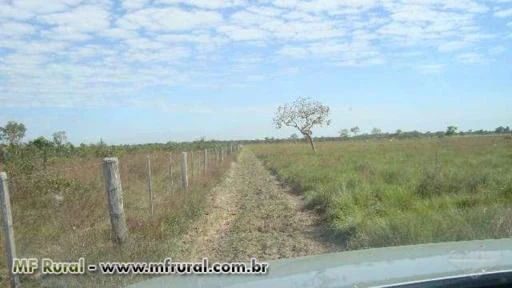 Fazenda em area de expansão urbana