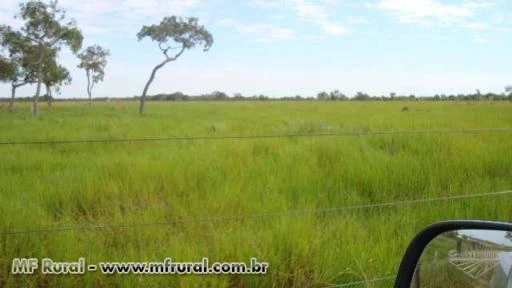 Fazenda em area de expansão urbana